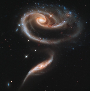 A "Rose" of Galaxies